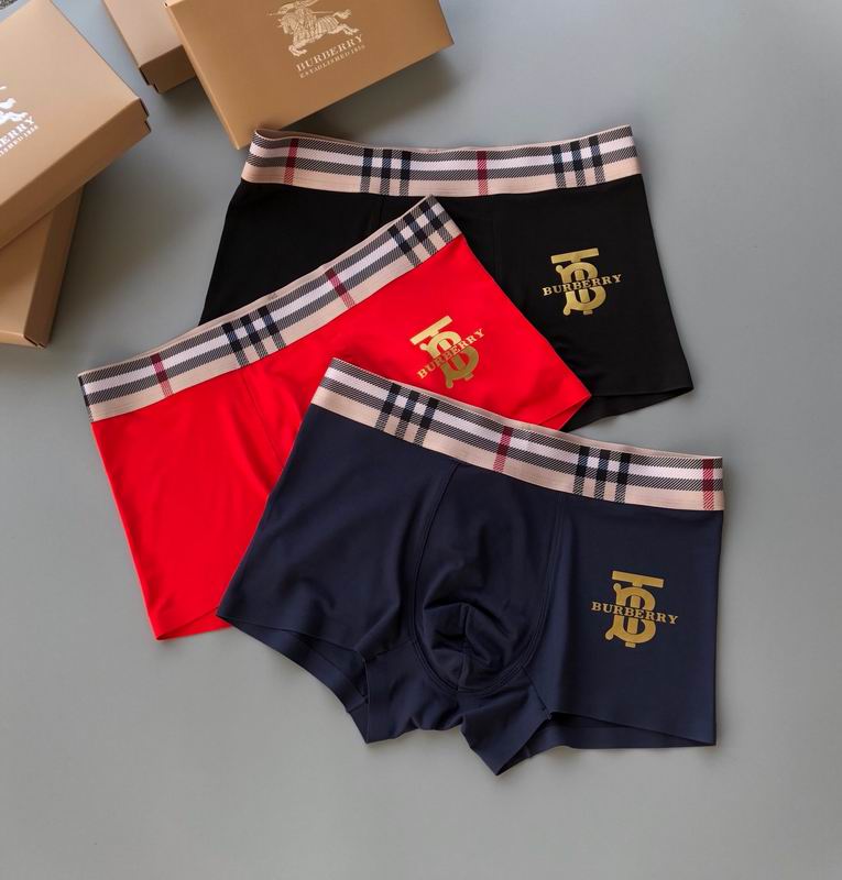 New boxer 0804f